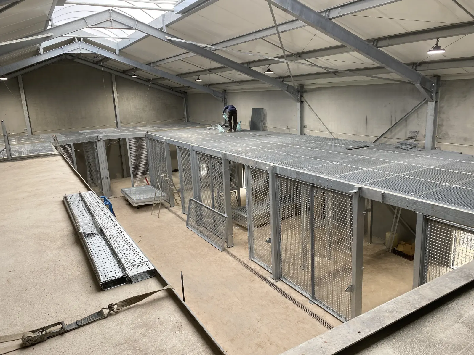 Structure métallique pour enclos de lions réalisée par Design Ferronnerie